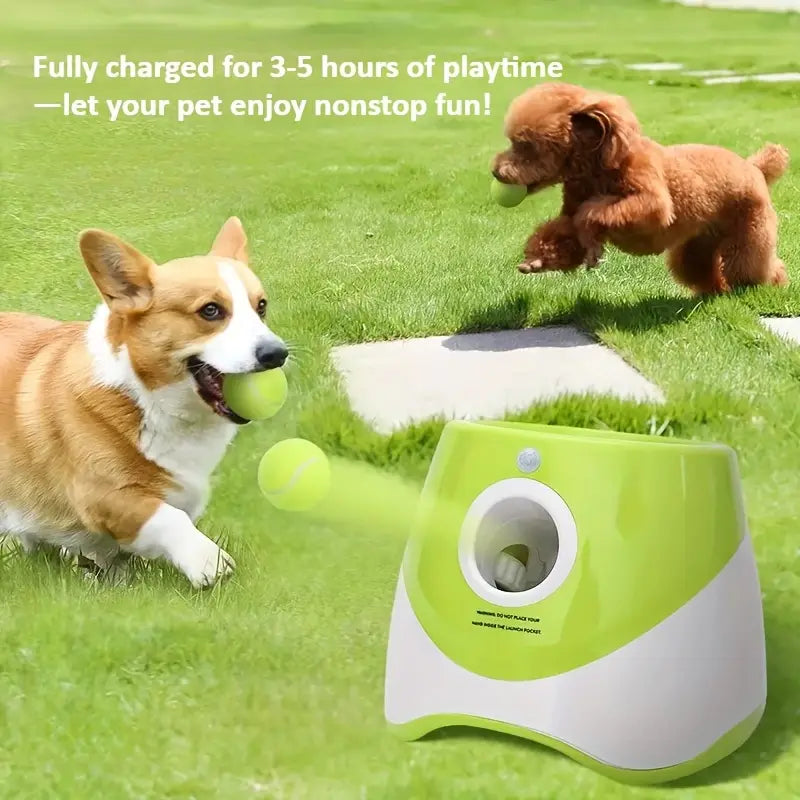 Automatic Dog Ball Thrower - USB Charging
