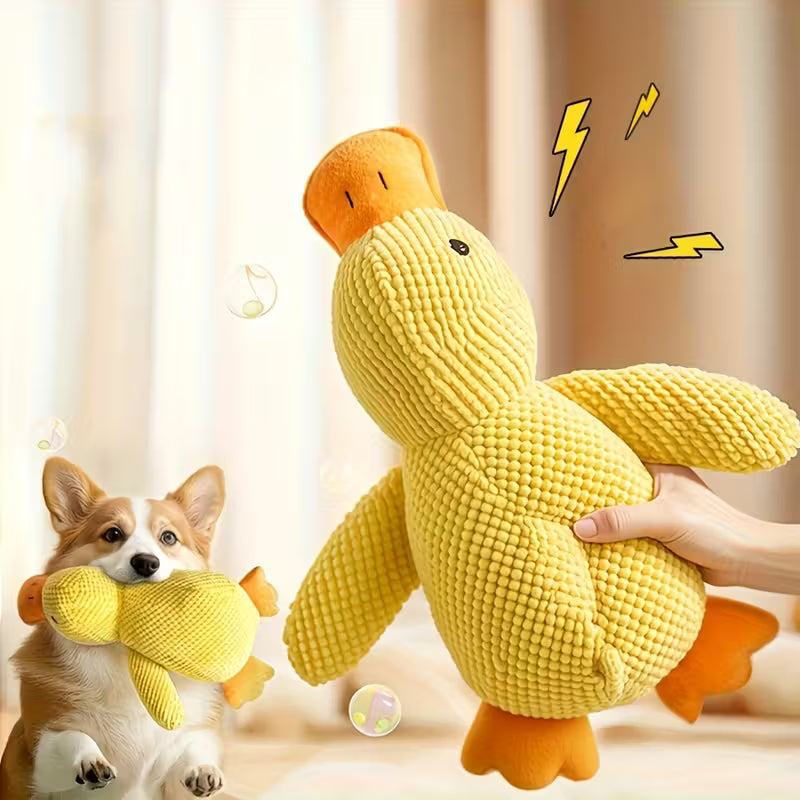 Duck Chewing Toy