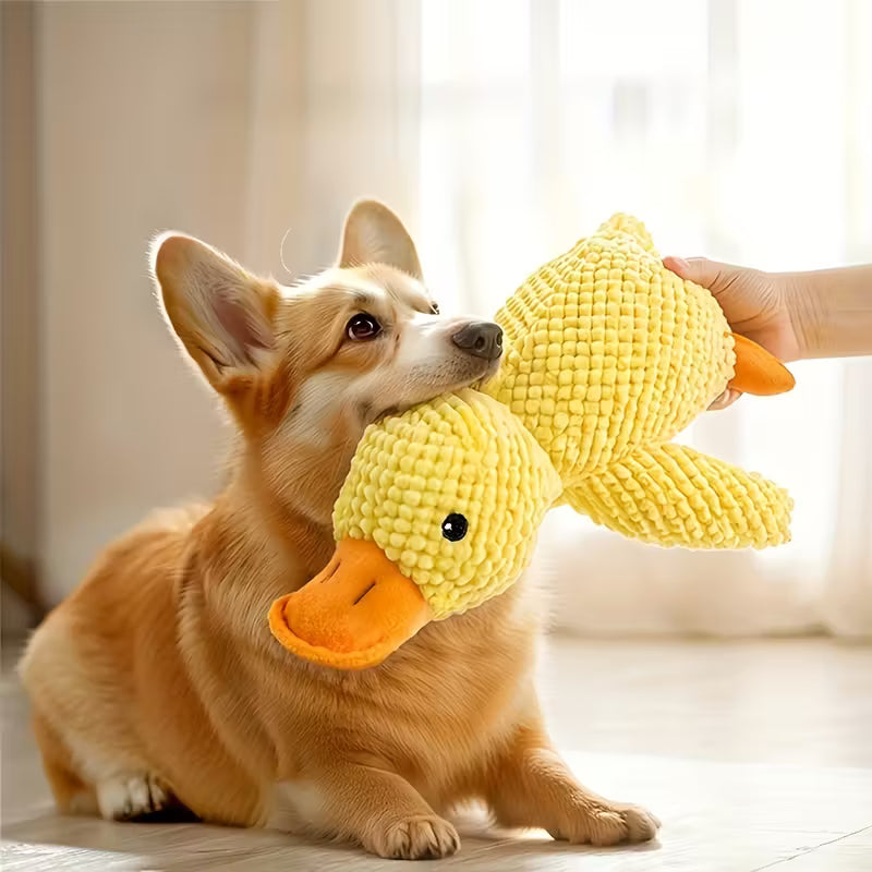 Duck Chewing Toy
